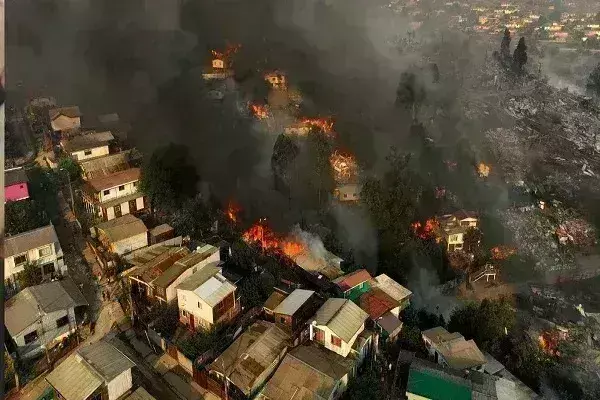 घनी आबादी वाले इलाके के पास जंगल में लगी आग, 46 लोग जिंदा जले- 1100 से अधिक घर तबाह घनी आबादी वाले इलाके के पास जंगल में लगी आग, 46 लोग जिंदा जले- 1100 से अधिक घर तबाह