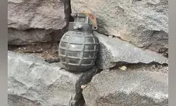 मध्य प्रदेश: इंदौर में खेत में मिला  हैंड ग्रेनेड, किया गया निष्क्रिय