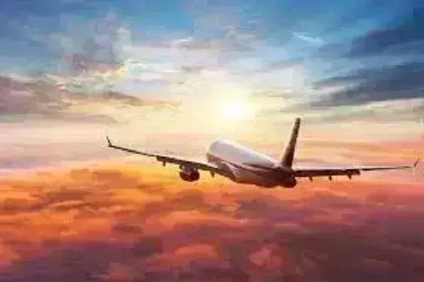 बीसीएएस ने सात एयरलाइनों को 30 मिनट के भीतर यात्रियों के बैग की डिलीवरी का दिया निर्देश