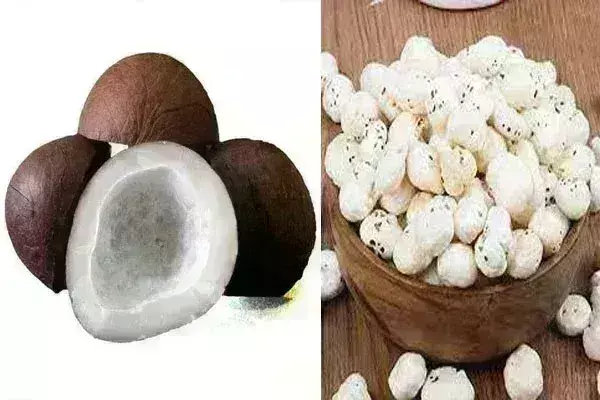 कमजोर लिवाली से गोला, खोपरा पाउडर एवं फूल मखाने में गिरावट