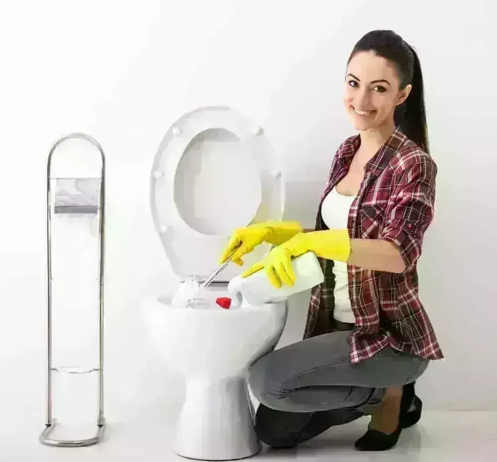 ﻿जानिए, कैसे बर्फ के टुकड़ों से चुटकियों में साफ हो जाता है गंदे और पीले टॉयलेट पॉट