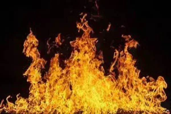 दिल्ली के जीबी रोड इलाके में इमारत में लगी आग