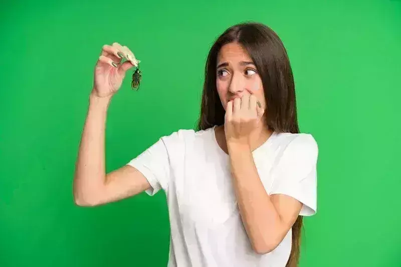 सिर्फ दो मिनट में रसोई से सारे कॉकरोच ऐसे करें साफ, वह भी बिना मेहनत