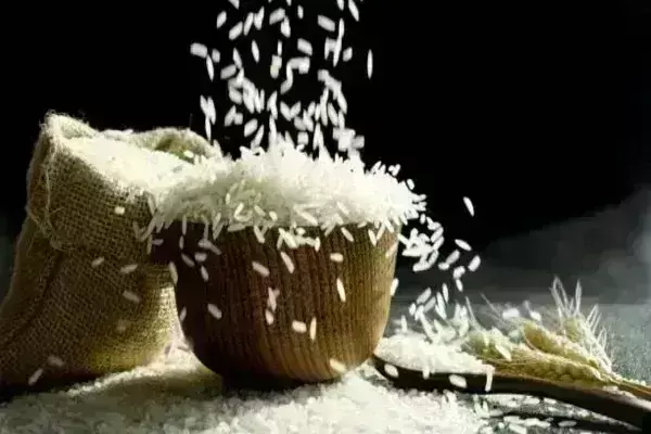 रूस ने पाकिस्तानी चावल में दूषित पदार्थ पाए जाने के बाद फिर से प्रतिबंध लगाने की दी चेतावनी रूस ने पाकिस्तानी चावल में दूषित पदार्थ पाए जाने के बाद फिर से प्रतिबंध लगाने की दी चेतावनी