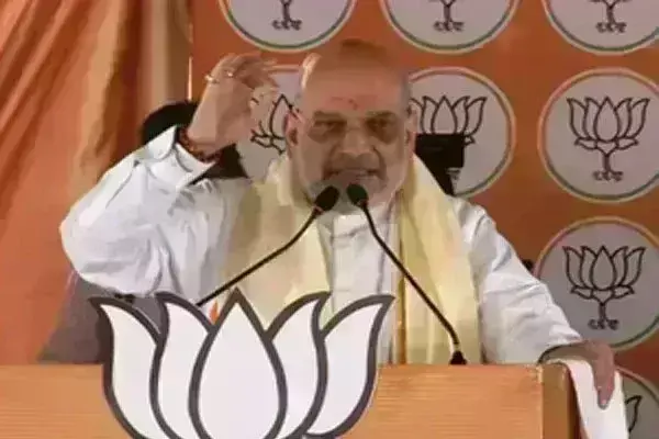 देश को मजबूर नहीं मजबूत नेतृत्व चाहिए : अमित शाह