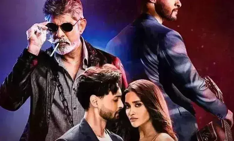 रुसलान का बॉक्स ऑफिस पर बुरा हाल, 5 दिन में मुश्किल से 3 करोड़ का आंकड़ा किया पार