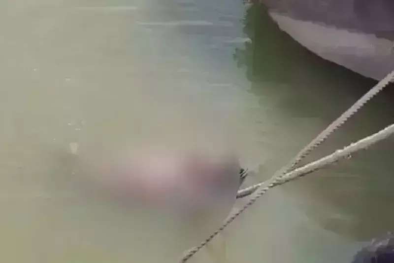 सांप के काटने से युवक की मौत, अंधविश्वास में डूबे परिवार ने जिंदा करने के लिए लाश को दो दिन तक गंगा में लटकाए रखा सांप के काटने से युवक की मौत, अंधविश्वास में डूबे परिवार ने जिंदा करने के लिए लाश को दो दिन तक गंगा में लटकाए रखा