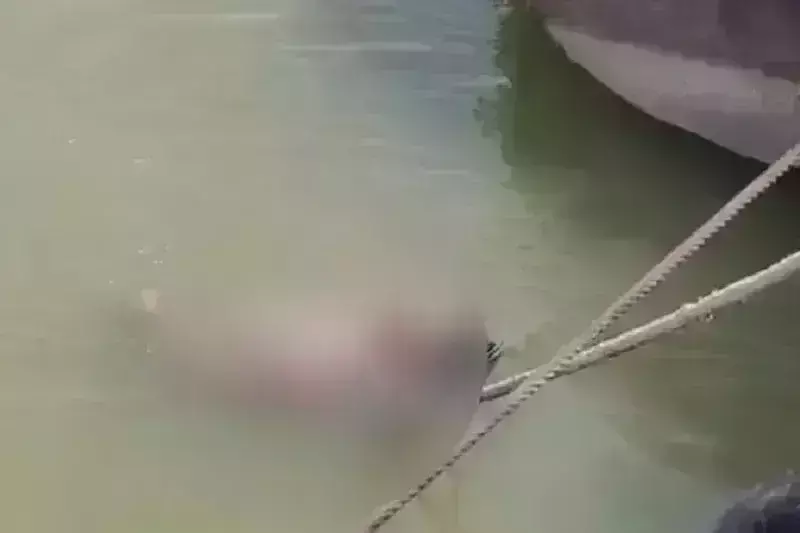 सांप के काटने से युवक की मौत, अंधविश्वास में डूबे परिवार ने जिंदा करने के लिए लाश को दो दिन तक गंगा में लटकाए रखा