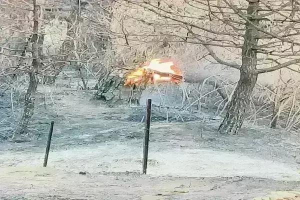 मोरनी खंड के जंगलों में लगी भयानक आग, सैकड़ों पेड़ों को हो रहा नुकसान