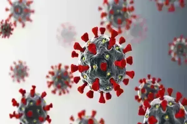 सिंगापुर के बाद अब भारत में पहुंचा कोरोना का नया वैरिएंट, 300 से ज्यादा मामले आए सामने सिंगापुर के बाद अब भारत में पहुंचा कोरोना का नया वैरिएंट, 300 से ज्यादा मामले आए सामने