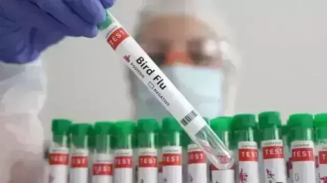 पश्चिम बंगाल में 4 वर्षीय बच्चे को हुआ बर्ड फ्लू, डब्ल्यूएचओ ने पुष्टि की
