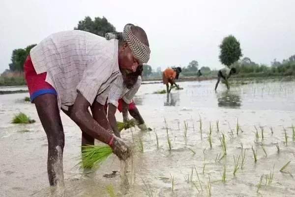 किसानों को बड़ा तोहफा, सरकार ने माफ किया 2 लाख रुपए तक का कर्ज