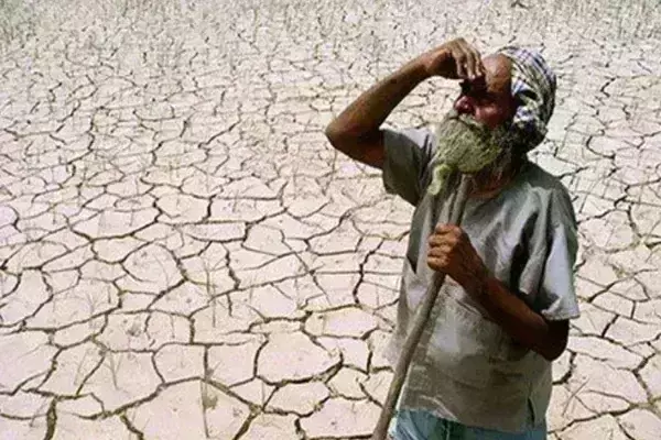 बिहार : आषाढ़ में झमाझम बारिश का इंतजार, धान का बीज गिराने के लिए आसमान निहार रहे किसान