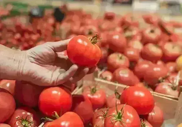 टमाटर की बढ़ी हुई कीमतों से मिलेगी राहत, सरकारी अधिकारी ने बताई इसके पीछे की वजह