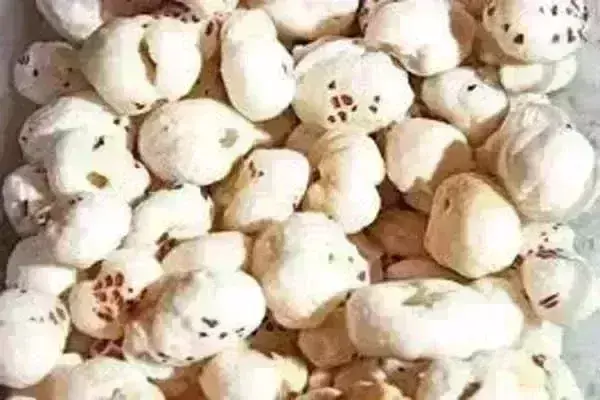 рдмрд┐рд╣рд╛рд░ рдореЗрдВ рдирд┐рд░рдВрддрд░ рдмрд╛рд░рд┐рд╢ рд╣реЛрдиреЗ рд╕реЗ рдлреВрд▓ рдордЦрд╛рдирд╛ рдФрд░ рдорд╣рдВрдЧрд╛ рдмрд┐рд╣рд╛рд░ рдореЗрдВ рдирд┐рд░рдВрддрд░ рдмрд╛рд░рд┐рд╢ рд╣реЛрдиреЗ рд╕реЗ рдлреВрд▓ рдордЦрд╛рдирд╛ рдФрд░ рдорд╣рдВрдЧрд╛