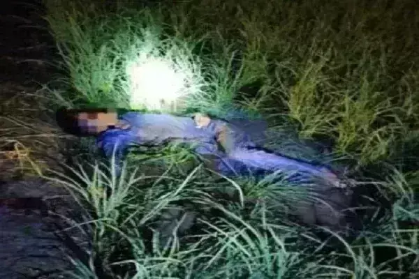 सीमा पार से घुसपैठ की कोशिश नाकाम, पंजाब के तरनतारन में BSF ने पाकिस्तानी घुसपैठिए को मार गिराया