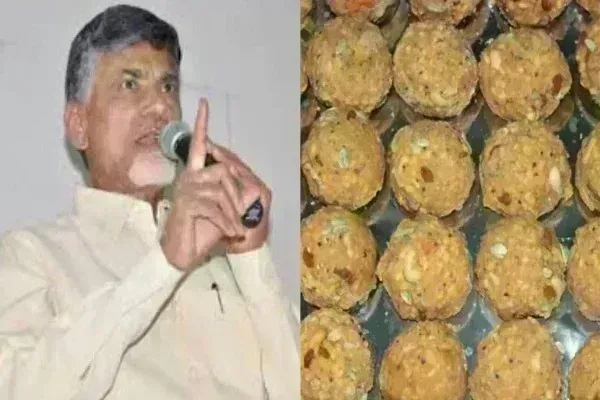 Tirupati Laddu Case: लैब की रिपोर्ट आने के बाद फूटा CM नायडू का गुस्सा, बोले-किसी को भी बख्शा नहीं जाएगा Tirupati Laddu Case: लैब की रिपोर्ट आने के बाद फूटा CM नायडू का गुस्सा, बोले-किसी को भी बख्शा नहीं जाएगा