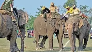 नेपाल: हाथी और पर्यटन महोत्सव के दौरान चितवन राष्ट्रीय उद्यान पर्यटन का केंद्र बना