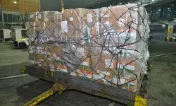 भारत ने इराक के कुर्दिस्तान क्षेत्र में भेजी मानवीय सहायता