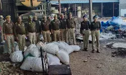 गौतमबुद्ध नगर में गांजे की बड़ी खेप बरामद गौतमबुद्ध नगर में गांजे की बड़ी खेप बरामद