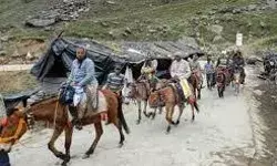 केदारनाथ यात्रा के लिए अब 420 घोड़ा-खच्चरों का पंजीकरण