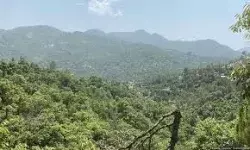 उत्तराखंड में वन विभाग ने वन संपदा के संरक्षण के लिए सर्तक रहने का किया आह्वान
