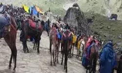 केदारनाथ यात्रा के लिए घोड़े-खच्चरों के स्वास्थ्य परीक्षण शुरू