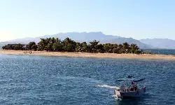 6.5 Magnitude Quake Hits South of Fiji Islands 6.5 Magnitude Quake Hits South of Fiji Islands