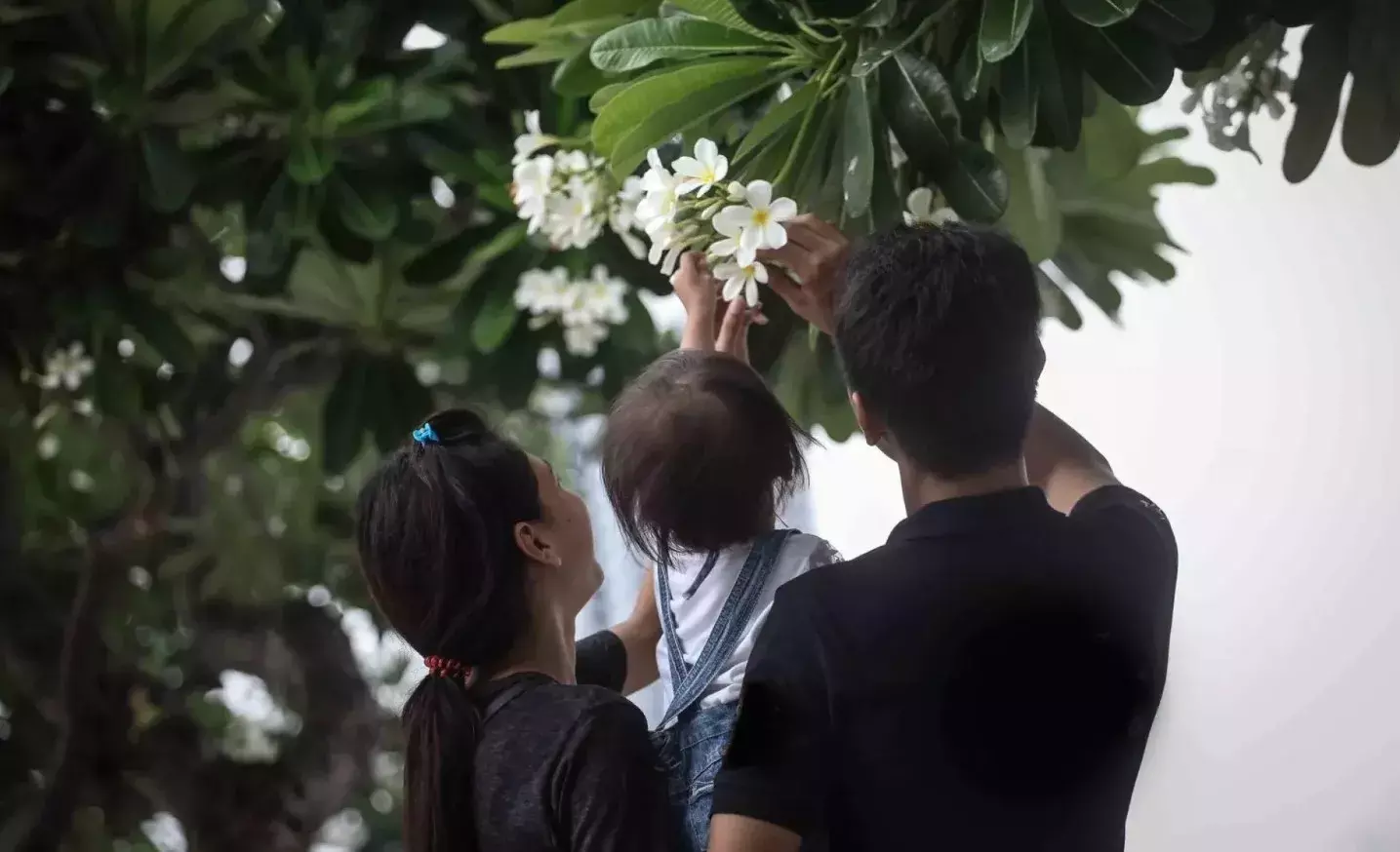 जब इन 3 संक्रमणों से बचाव मुमकिन है तो क्यों बच्चे इनसे संक्रमित जन्में? जब इन 3 संक्रमणों से बचाव मुमकिन है तो क्यों बच्चे इनसे संक्रमित जन्में?