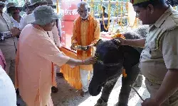 सीएम ने दुधवा टाइगर रिजर्व का किया निरीक्षण, हाथियों को खिलाया चारा