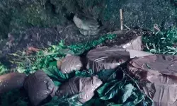 जम्मू कश्मीर: बड़ी आतंकी साजिश नाकाम, 5 IED हुए बरामद