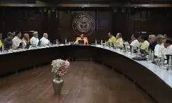 योगी कैबिनेट ने सीड पार्क स्थापना को दी मंजूरी