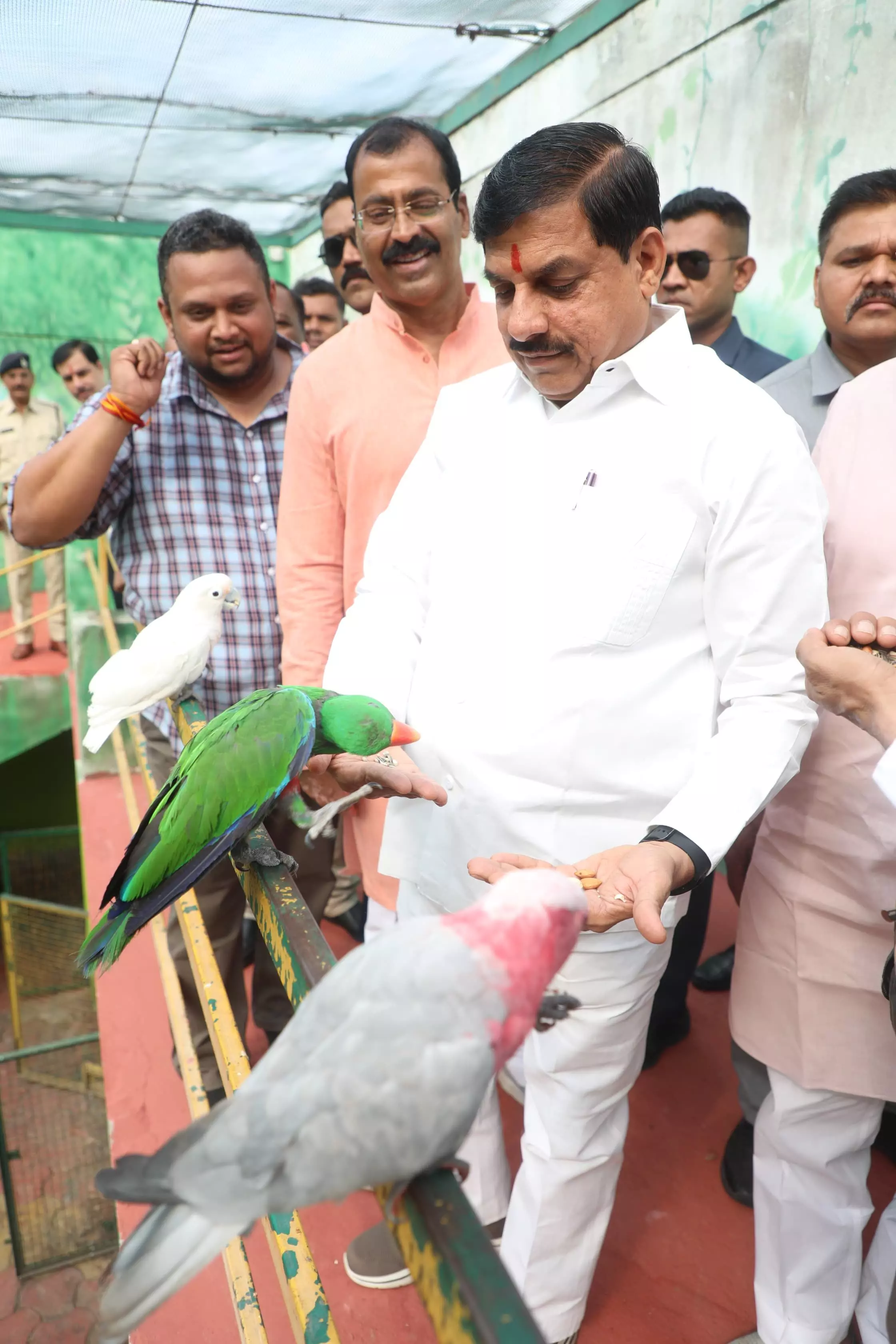 इंदौर- चिड़ियाघर का मुख्यमंत्री ने किया अवलोकन इंदौर- चिड़ियाघर का मुख्यमंत्री ने किया अवलोकन