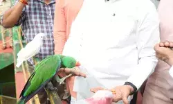 इंदौर- चिड़ियाघर का मुख्यमंत्री ने किया अवलोकन