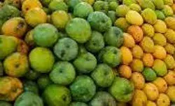 फलों में प्रतिबंधित रसायनों पर भारतीय खाद्य सुरक्षा और मानक प्राधिकरण ने जांच तेज करने को कहा