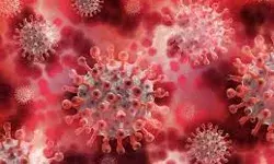 कोविड संक्रमित मरीजों की संख्या बढ़ने के बाद, प्रदेश सरकार हुई सतर्क