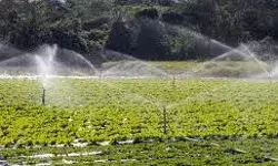 29 मई से शुरू होगा विकसित कृषि संकल्प अभियान, डेढ़ करोड़ किसानों से होगा सीधा संपर्क