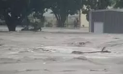अमरीका के टेक्सास में बाढ़ से 43 लोगों की मौत, प्रधानमंत्री मोदी ने जताया शोक अमरीका के टेक्सास में बाढ़ से 43 लोगों की मौत, प्रधानमंत्री मोदी ने जताया शोक