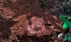 सुरक्षा बल के जवानों ने विस्फोटकों का जखीरा किया बरामद सुरक्षा बल के जवानों ने विस्फोटकों का जखीरा किया बरामद