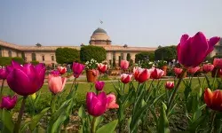 16 рдЕрдЧрд╕реНрдд рд╕реЗ 14 рд╕рд┐рддрдВрдмрд░ рддрдХ рдЬрдирддрд╛ рдХреЗ рд▓рд┐рдП рдЦреБрд▓реЗрдЧрд╛ рдЕрдореГрдд рдЙрджреНрдпрд╛рди 16 рдЕрдЧрд╕реНрдд рд╕реЗ 14 рд╕рд┐рддрдВрдмрд░ рддрдХ рдЬрдирддрд╛ рдХреЗ рд▓рд┐рдП рдЦреБрд▓реЗрдЧрд╛ рдЕрдореГрдд рдЙрджреНрдпрд╛рди