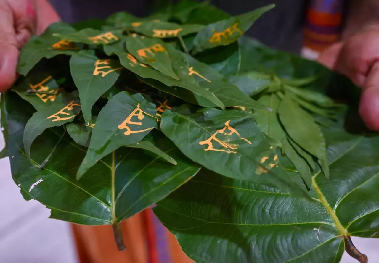 बाबा बैद्यनाथ धाम में बेलपत्र प्रदर्शनी की परंपरा