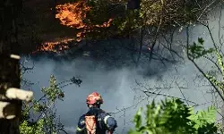 स्पेन: जंगलों में लगी भयंकर आग, अब तक हो चुकी है 7 लोगों मौत स्पेन: जंगलों में लगी भयंकर आग, अब तक हो चुकी है 7 लोगों मौत