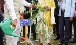 भोपाल- मुख्यमंत्री डॉ यादव ने विश्वविद्यालय में किया पौधारोपण