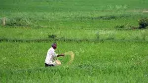 चालू खरीफ मौसम के लिए पर्याप्त मात्रा में उर्वरक उपलब्ध: सरकार चालू खरीफ मौसम के लिए पर्याप्त मात्रा में उर्वरक उपलब्ध: सरकार