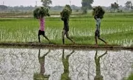भारत और दक्षिण अफ्रीका ने कृषि पर संयुक्त कार्य समूह की पाँचवीं बैठक वर्चुअल माध्यम से आयोजित की भारत और दक्षिण अफ्रीका ने कृषि पर संयुक्त कार्य समूह की पाँचवीं बैठक वर्चुअल माध्यम से आयोजित की