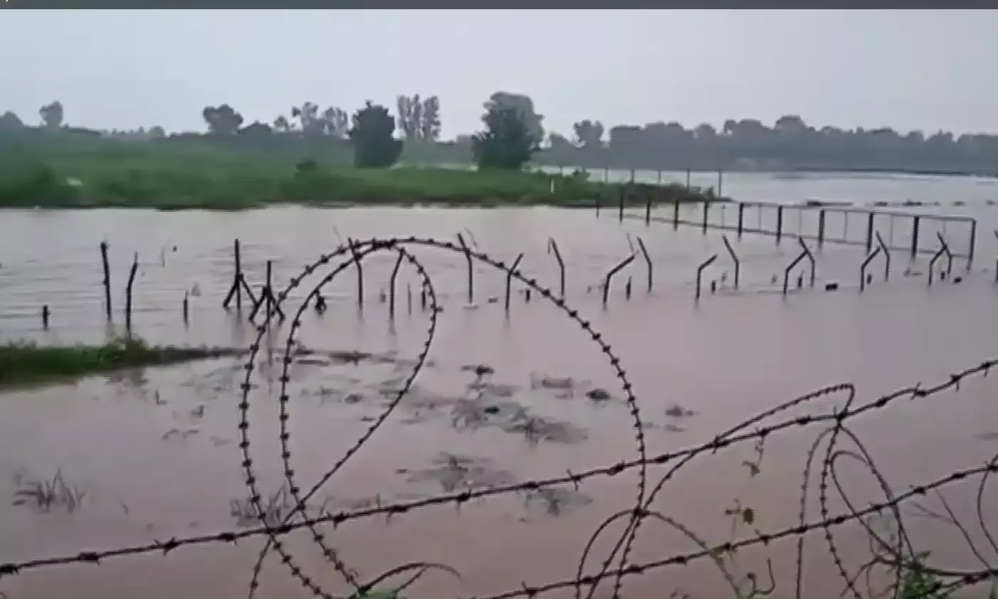 पंजाब: बाढ़ जैसे हालात, स्कूल किए गए बंद, नदियों में उफान