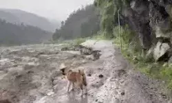 मनाली-कुल्लू के बीच नेशनल हाईवे-3 को भारी नुकसान, ब्यास नदी की बाढ़ बनी तबाही की वजह