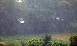 मौसम विभाग ने अलग-अलग स्थानों पर मूसलाधार बारिश की संभावना व्यक्त की