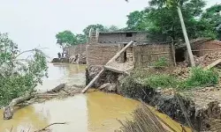 рдЬрд╡рдЗрдирд┐рдпрд╛ , рдмрд┐рд╣рд╛рд░ рдХреЗ рдирдХреНрд╢реЗ рд╕реЗ рдорд┐рдЯрд╛ рдПрдХ рдЧрд╛рдВрд╡ / рдЬрд╡рдЗрдирд┐рдпрд╛ рдХреЗ рд▓реЛрдЧреЛрдВ рдХреЗ рд╕рд╛рде рд╣реА рдпреЗ рд╕реМрддреЗрд▓рд╛ рд╡реНрдпрд╡рд╣рд╛рд░ рдХреНрдпреЛрдВ рд╣реЛ рд░рд╣рд╛ рд╣реИ? рдЬрд╡рдЗрдирд┐рдпрд╛ , рдмрд┐рд╣рд╛рд░ рдХреЗ рдирдХреНрд╢реЗ рд╕реЗ рдорд┐рдЯрд╛ рдПрдХ рдЧрд╛рдВрд╡ / рдЬрд╡рдЗрдирд┐рдпрд╛ рдХреЗ рд▓реЛрдЧреЛрдВ рдХреЗ рд╕рд╛рде рд╣реА рдпреЗ рд╕реМрддреЗрд▓рд╛ рд╡реНрдпрд╡рд╣рд╛рд░ рдХреНрдпреЛрдВ рд╣реЛ рд░рд╣рд╛ рд╣реИ?