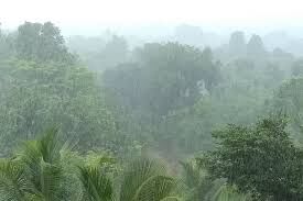 मौसम विभाग का ऑरेंज अलर्ट: केरल, तमिलनाडु और पुडुचेरी में भारी बारिश की चेतावनी